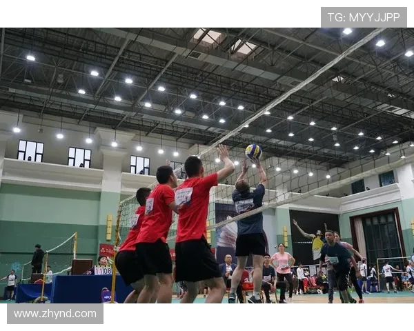 深圳排球队最新排球比赛经验TOP10分享助力球队提升竞技水平